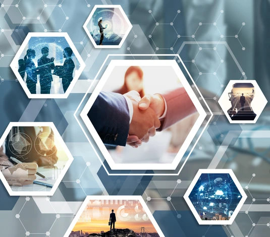 business and network
