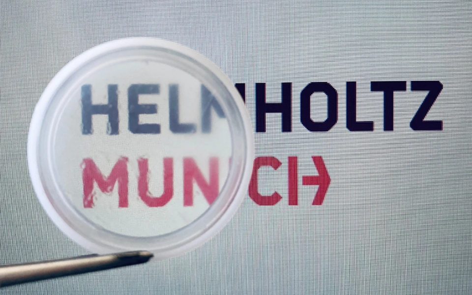 news-mini-fibrosis-membrane-schmid-doryab-2