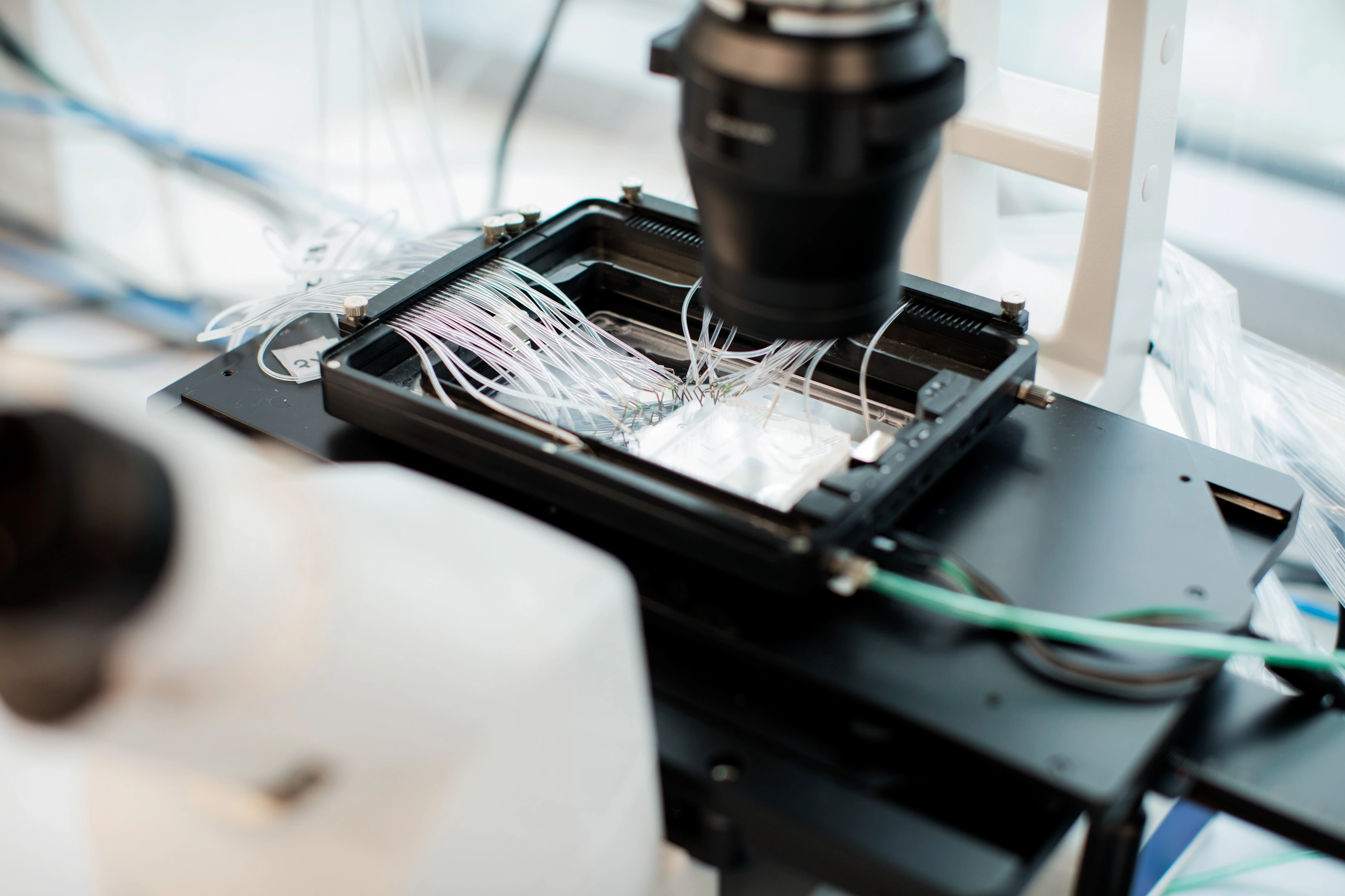 Die Organ-on-a-Chip-Technologie kombiniert Mikrofluidik und Stammzelltechnologien auf einer einzigen Plattform.