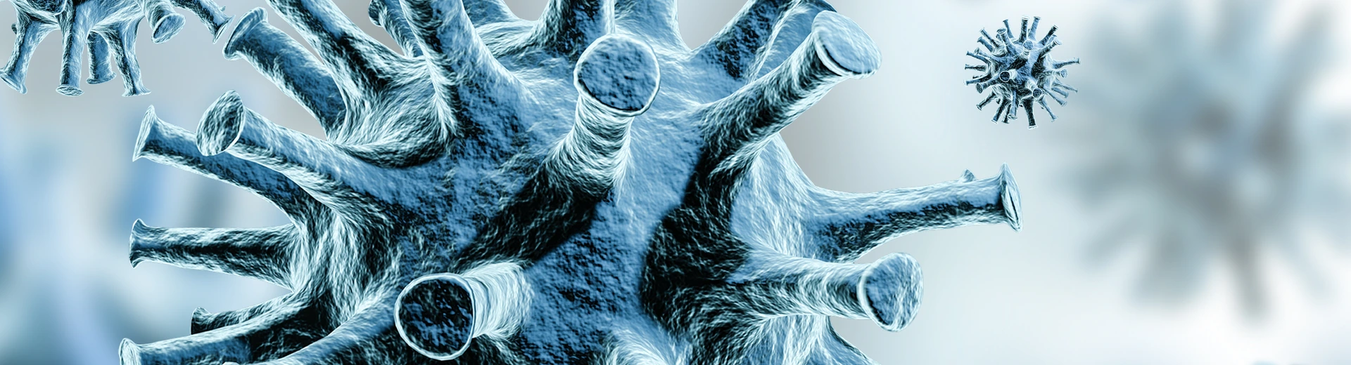 Coronavirus
