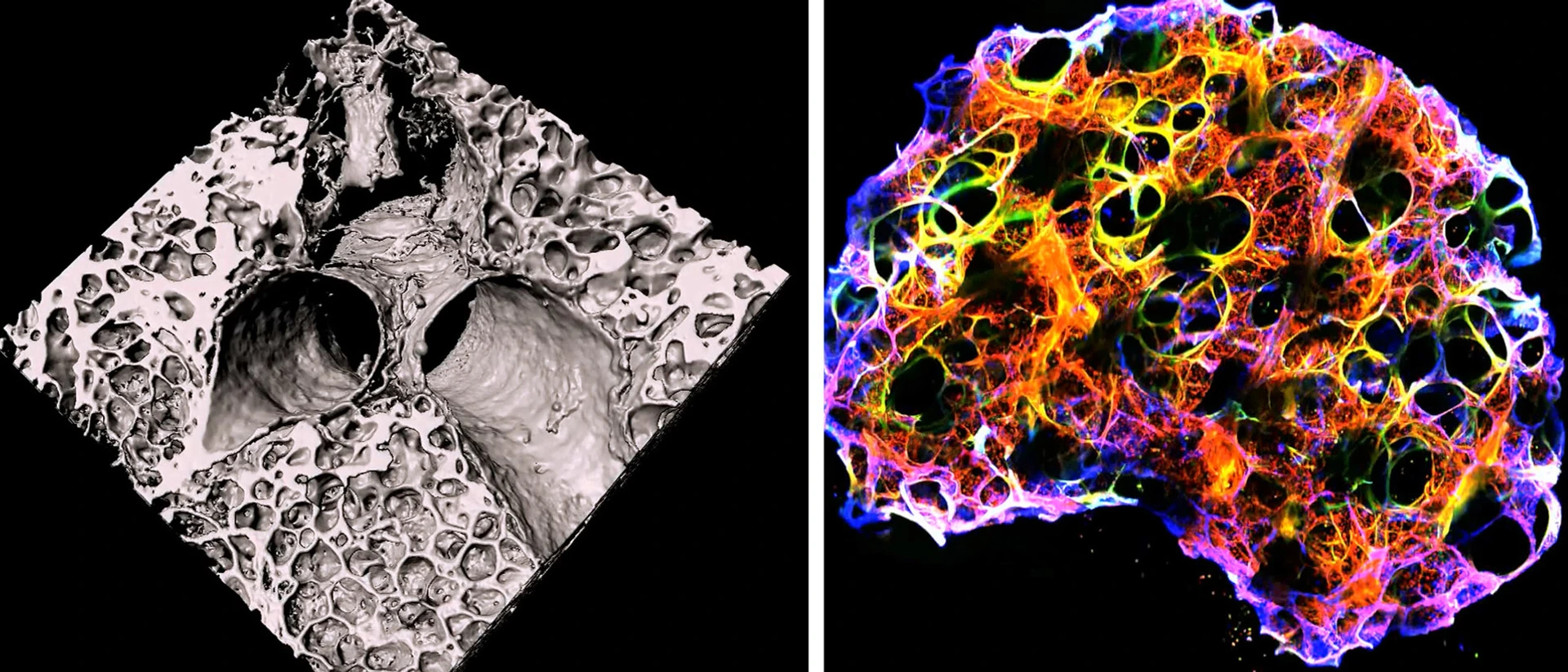 lhi-burgstaller-lab-stage-1920x823