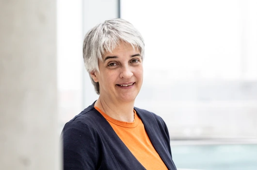 Prof. Dr. Julia Anne Schnabel