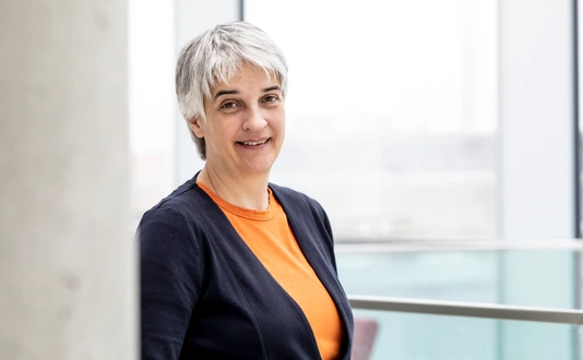 Prof. Dr. Julia Anne Schnabel
