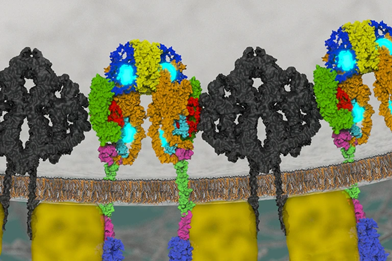 [Translate to German:] 