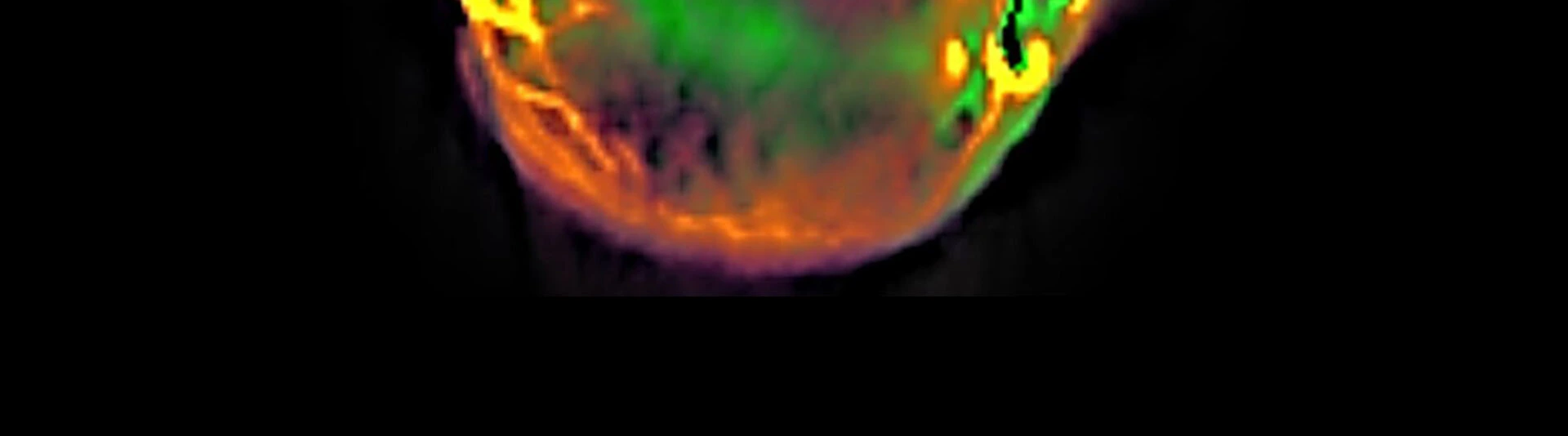 Main_Image