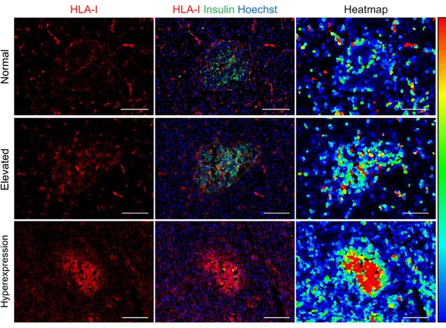Rodriguez-Calvo_abd6527-f1