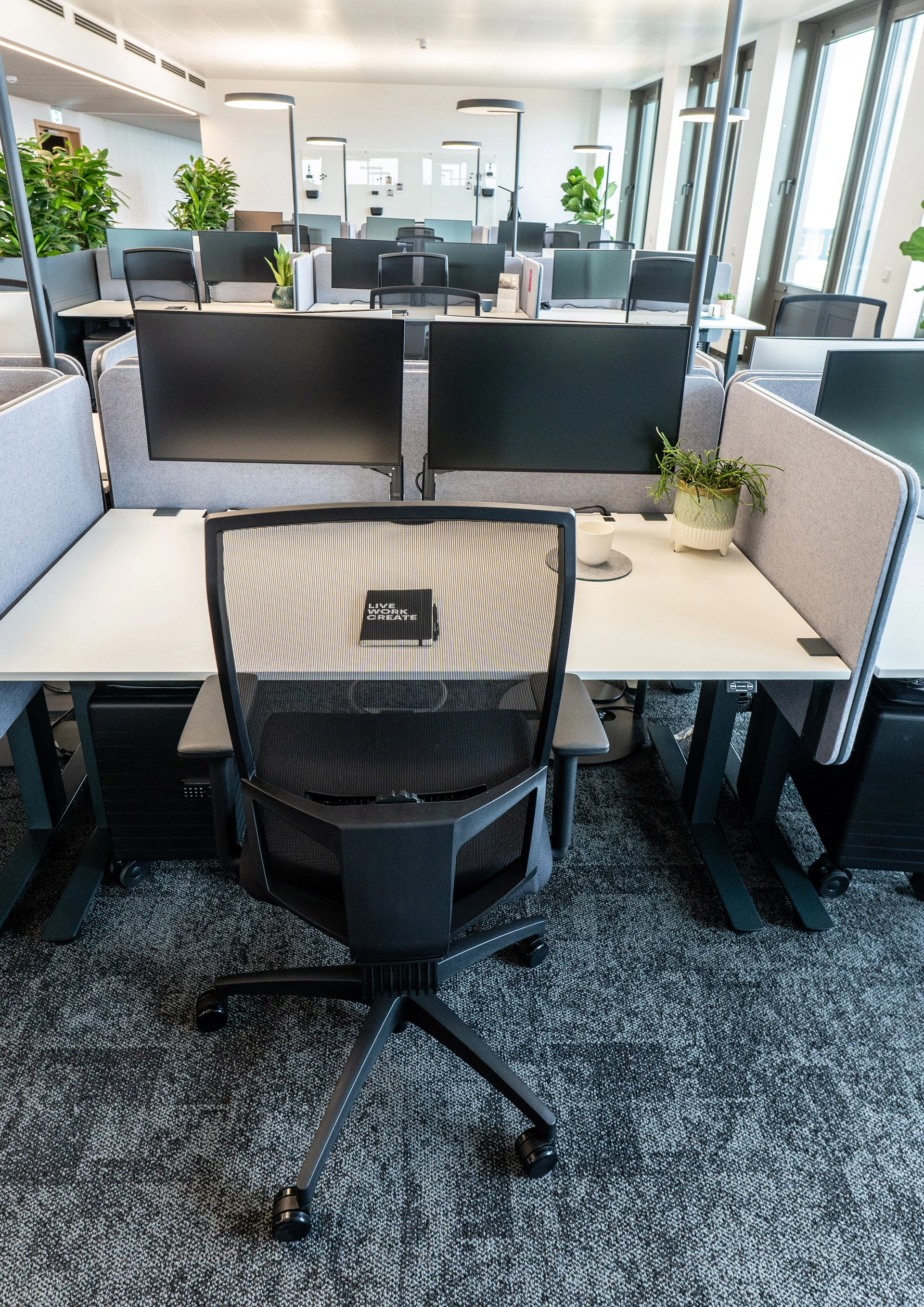 Arbeitsplatz CREW T, Superweiß, Maxipanel grau, Bildschirme, Blumentopf