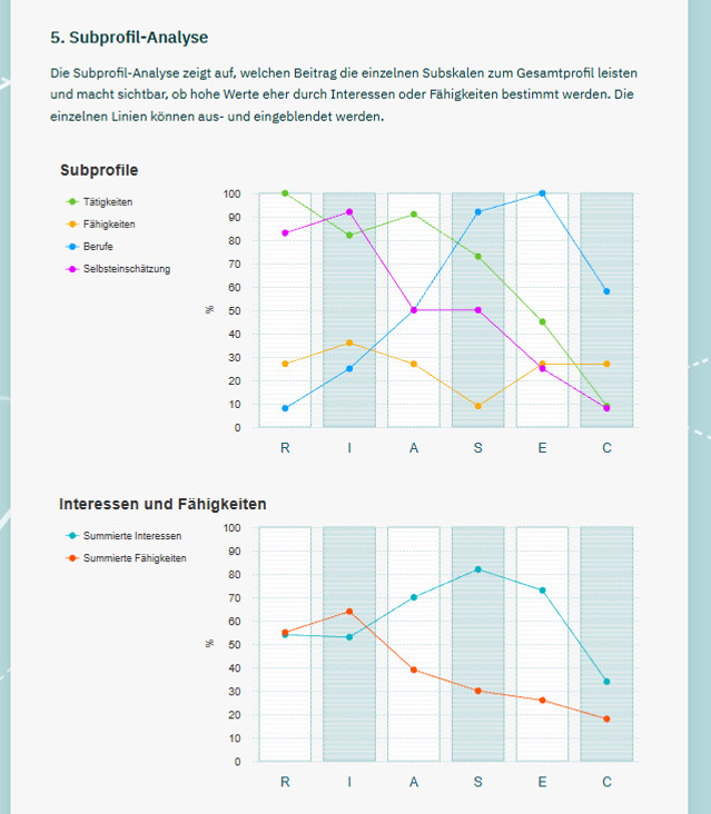 Screenshot der Subprofil-Analyse im explorix®-2 Fachpersonenportal