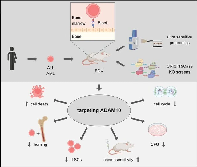 [Translate to German:] 