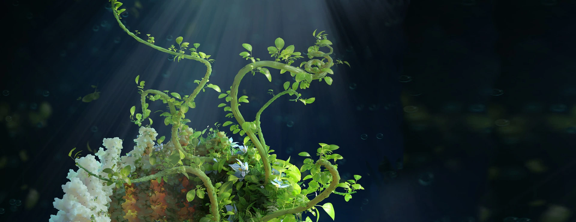Cover Art: Plant Protector: How plants strengthen their light-harvesting membranes against environmental stress