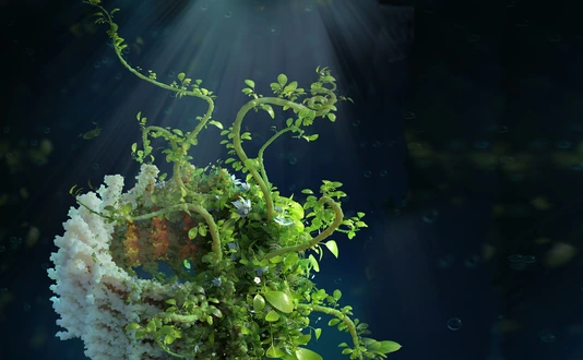 Cover Art: Plant Protector: How plants strengthen their light-harvesting membranes against environmental stress