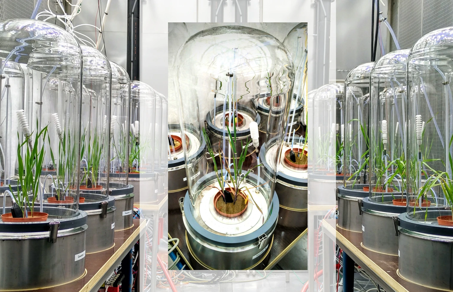 EUS_VOC-screen platform