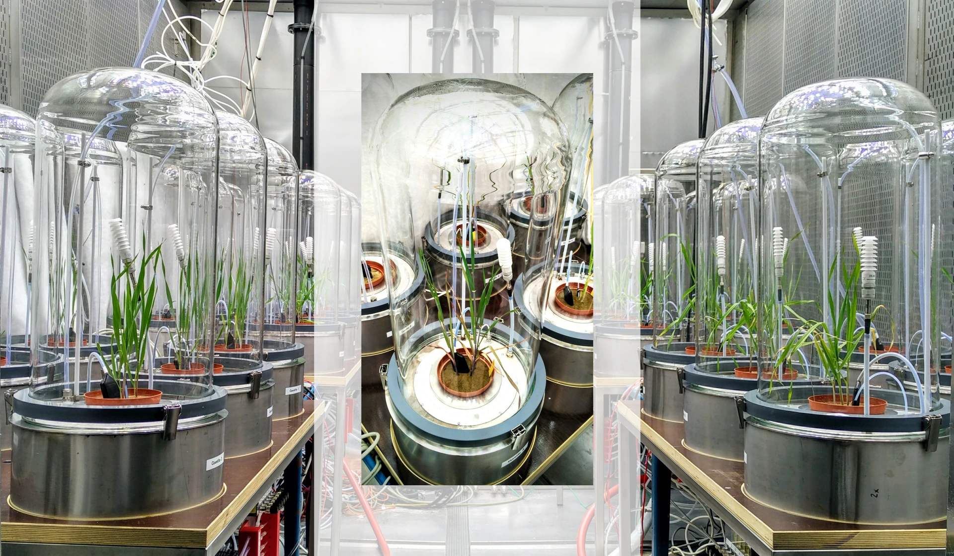 EUS_VOC-screen platform