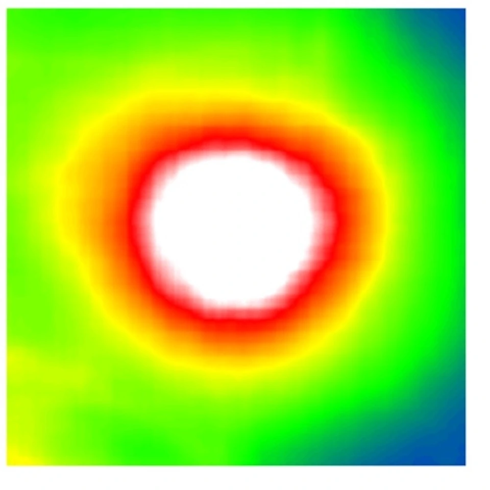 Predicted retinal thickness on funuds image