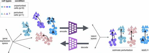 scGen graphic