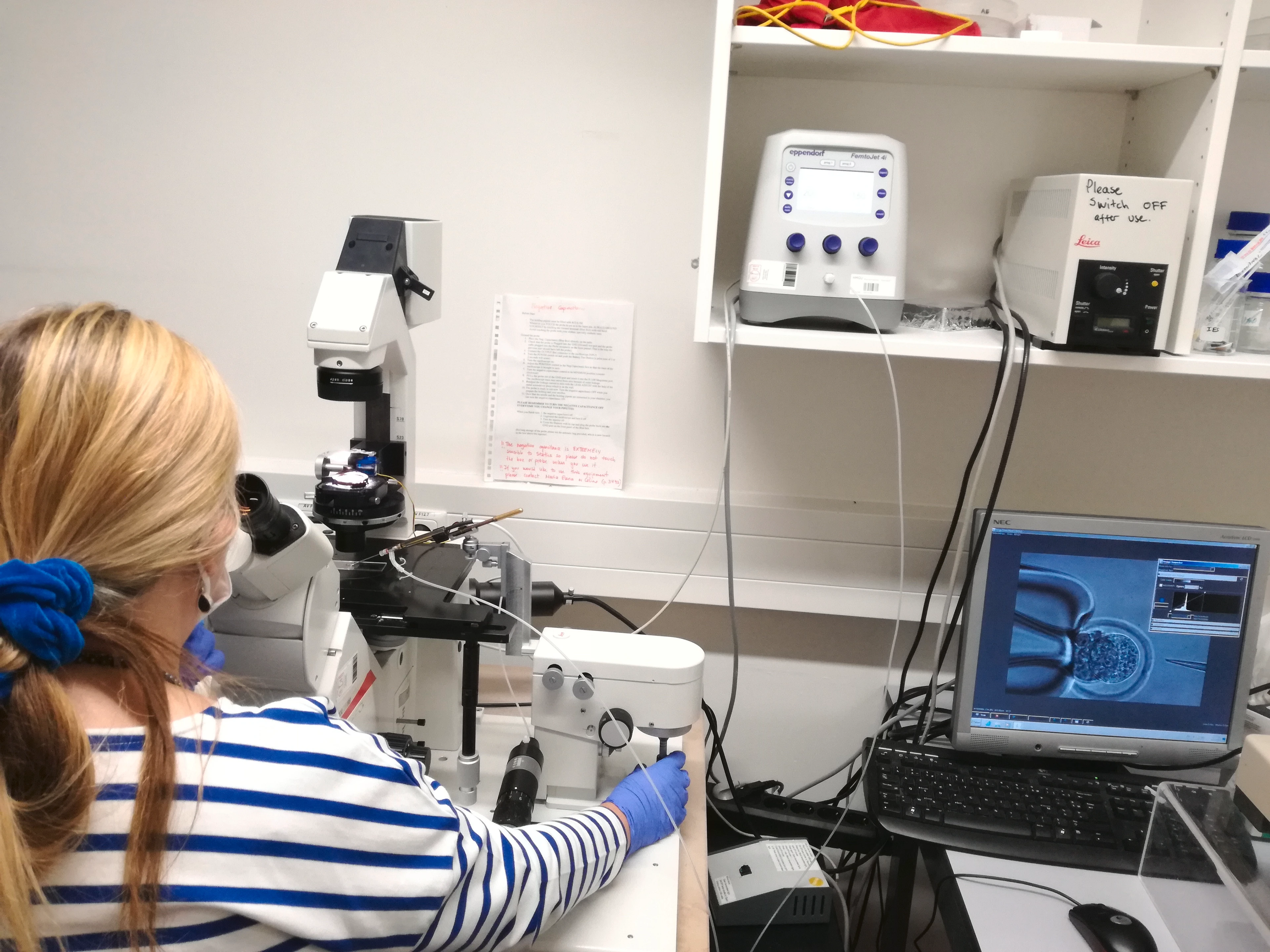 Art_the_IES_IMG_20210928_141726