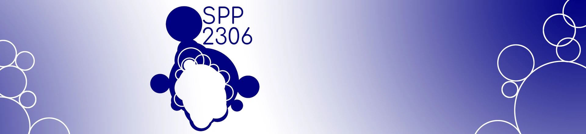 SPP2306 LogoVariante DFG Projekt SPP-1