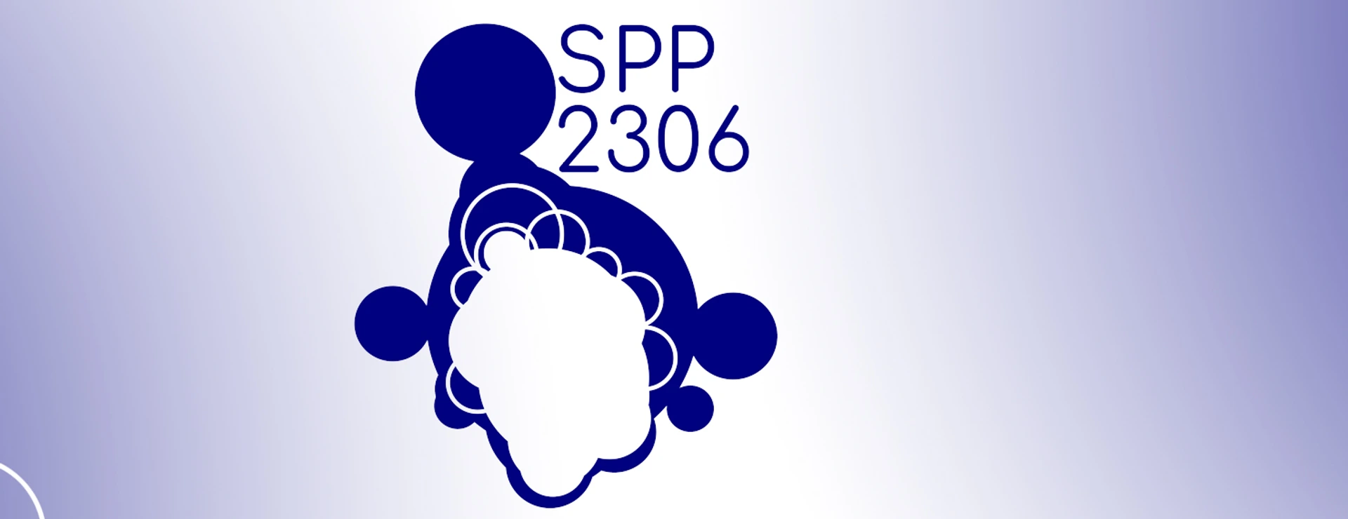 SPP2306 LogoVariante DFG Projekt SPP-1