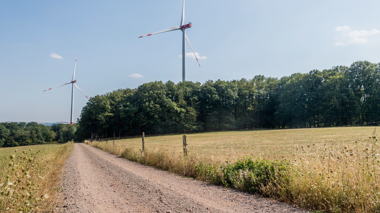 Wind turbines in a field