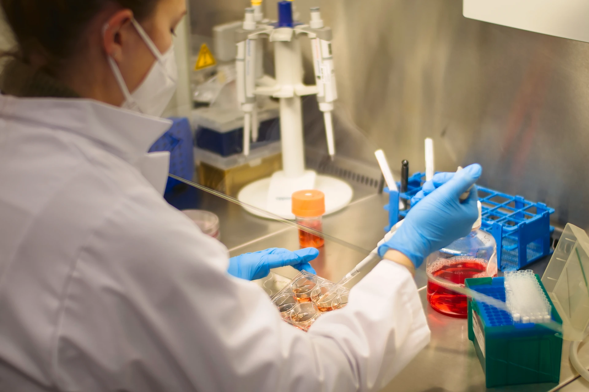 Activity in cell culture