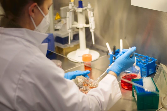 Activity in cell culture