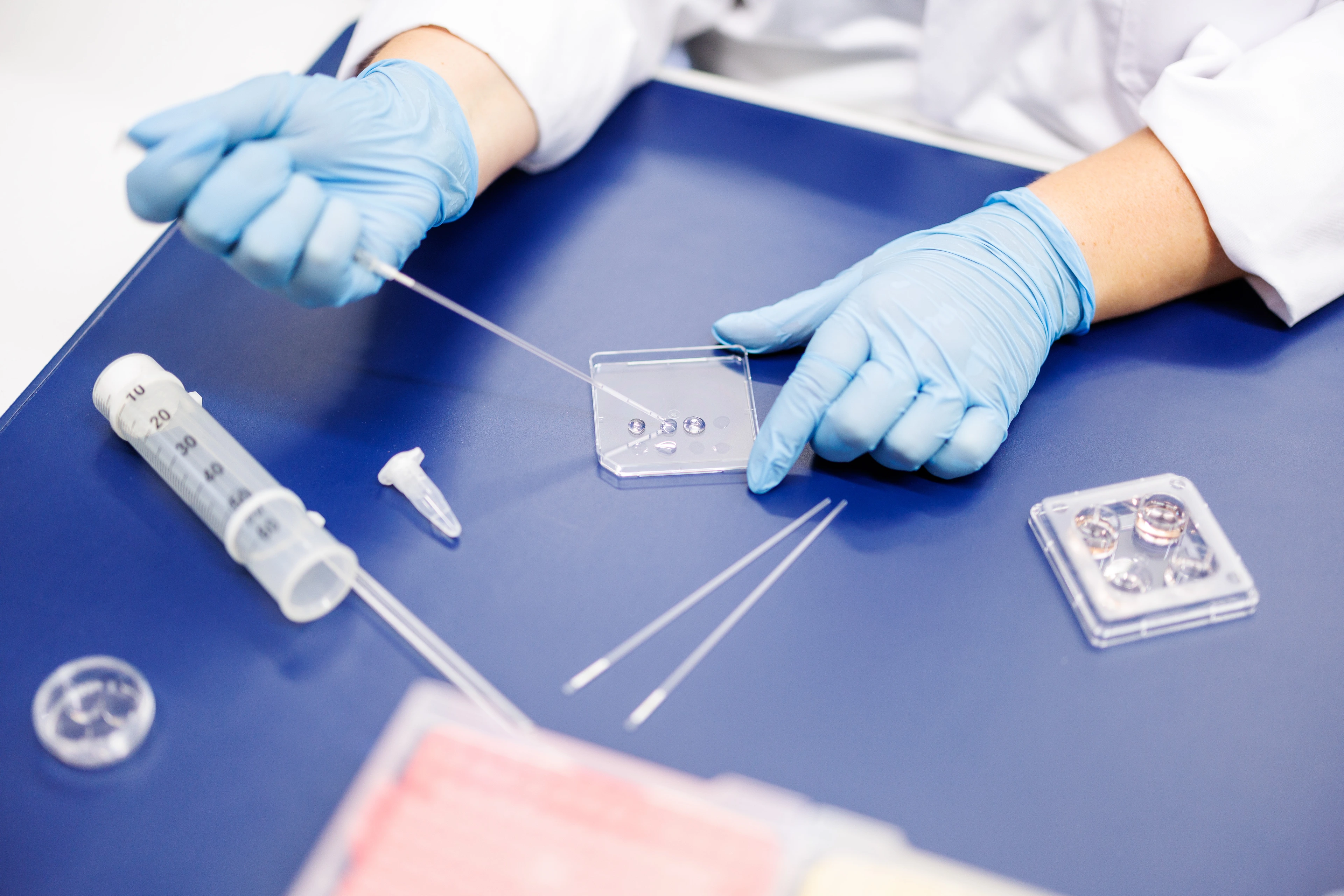 Mouse sperm freezing