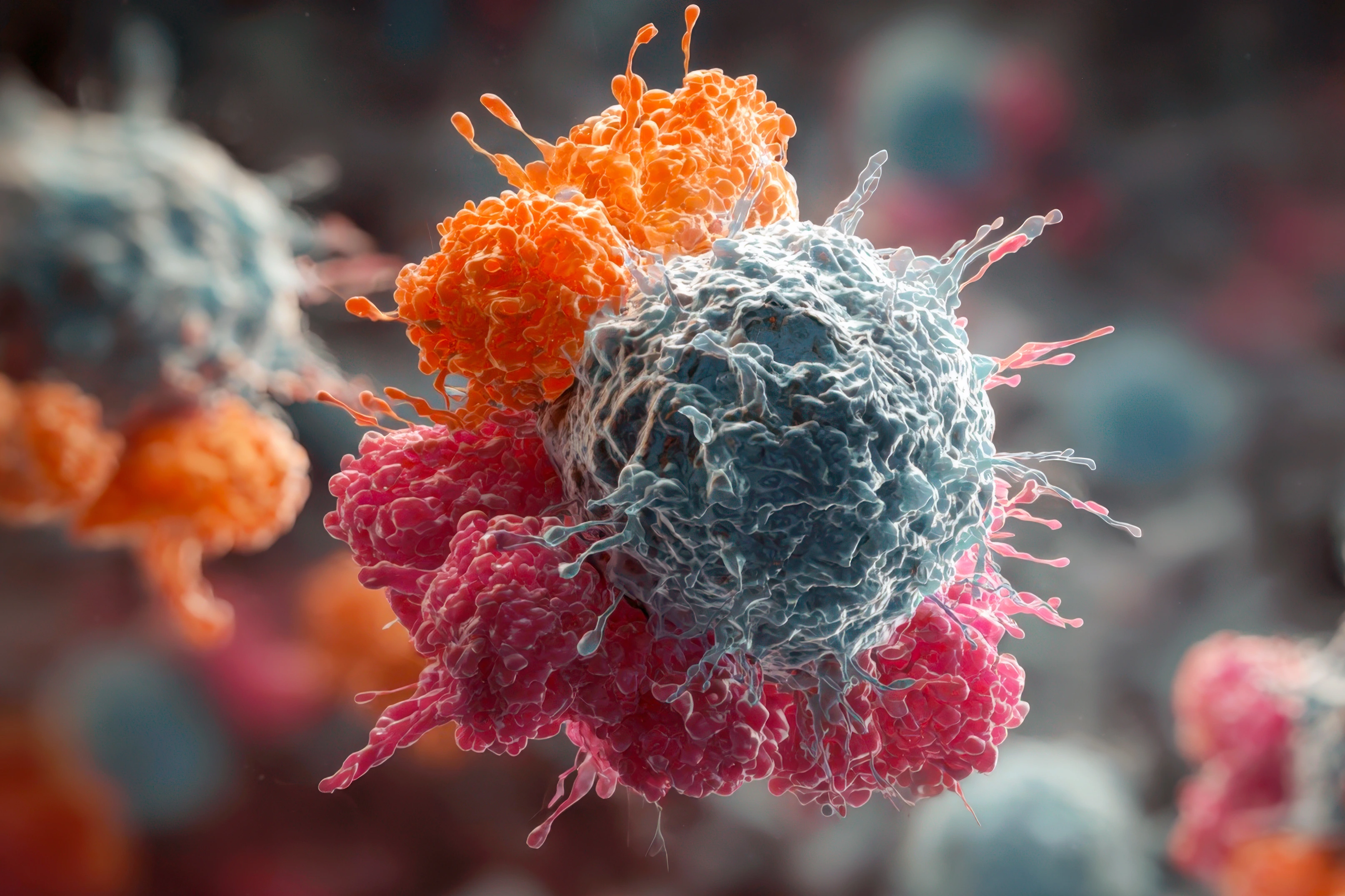 central cancer cell being attacked by surrounding immune cells (t-cells). Ideal for medical, scientific, oncology, and health-related content