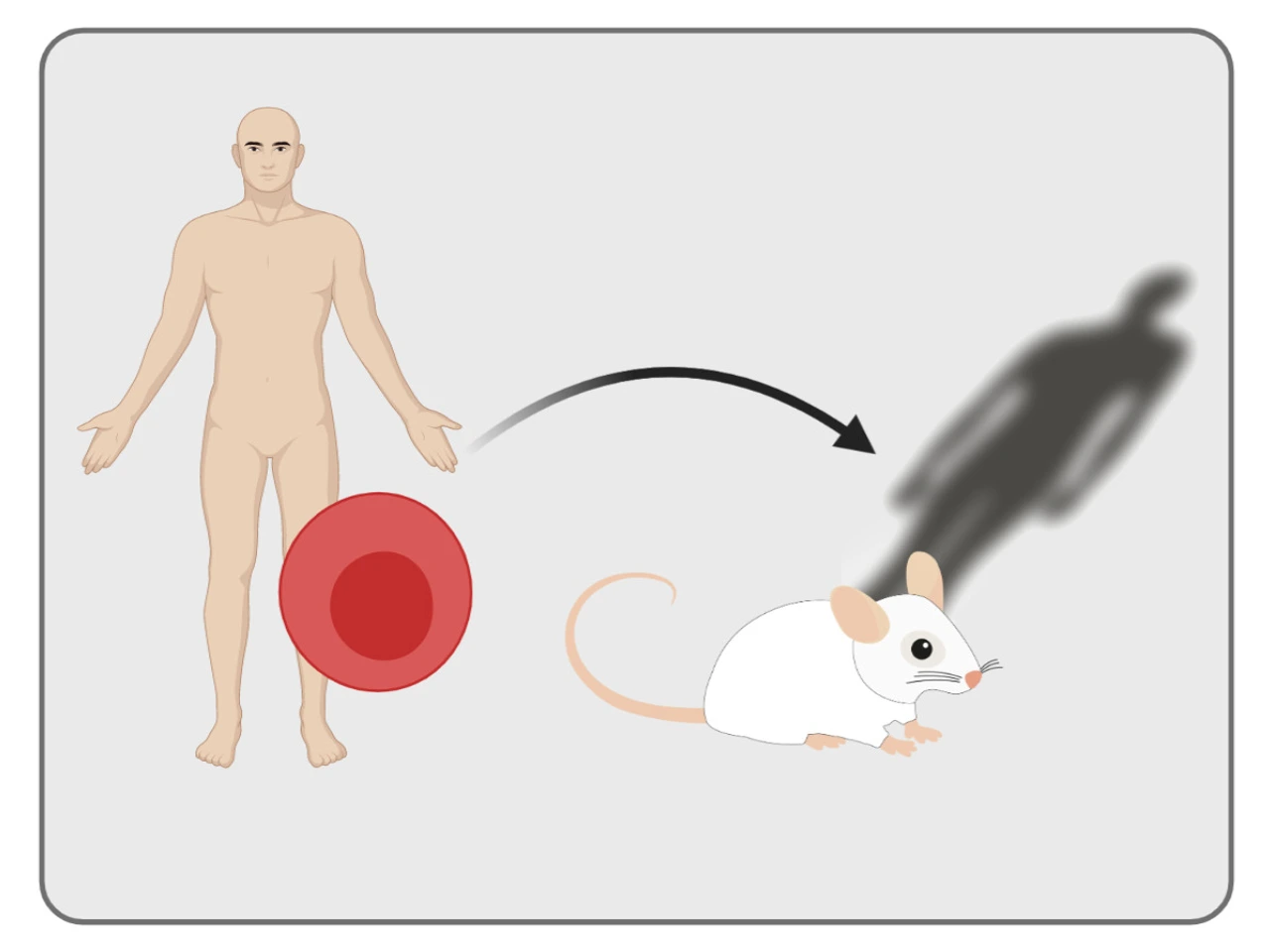 Personalized immunological models of human disease