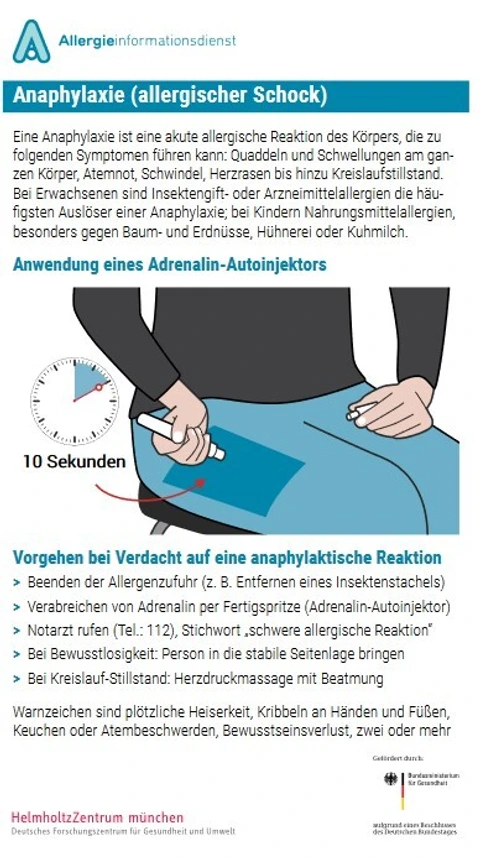 Anaphylaxie Infos zum Download