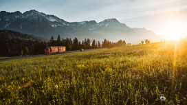 Austria, Tyrol, truck on country road in the morning light