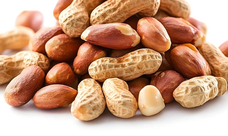Erdnüsse können eine Erdnussallergie auslösen