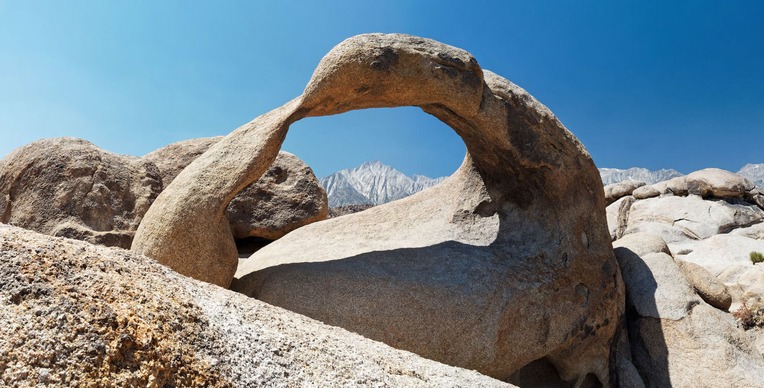 Eine Möbiusschleife in der Natur als Sinnbild von Theorie und Praxis in den Therapiewissenschaften