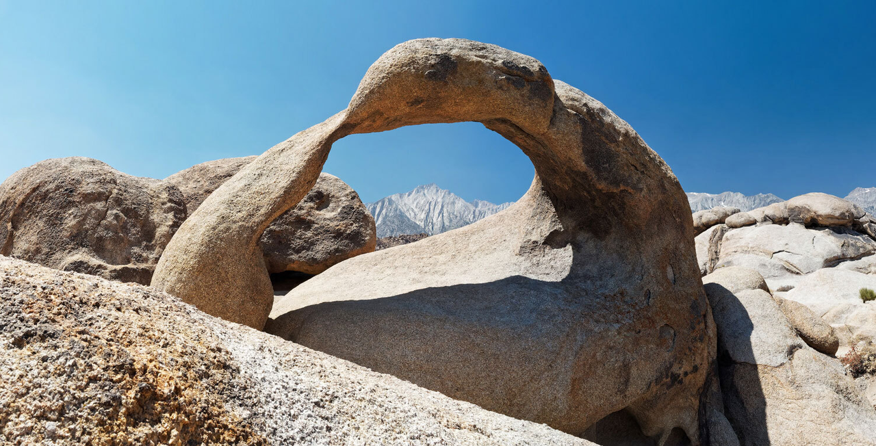 Eine Möbiusschleife in der Natur als Sinnbild von Theorie und Praxis in den Therapiewissenschaften