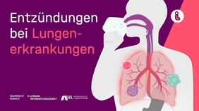 Video-Vorschaubild: Entzündungen bei Lungenerkrankungen