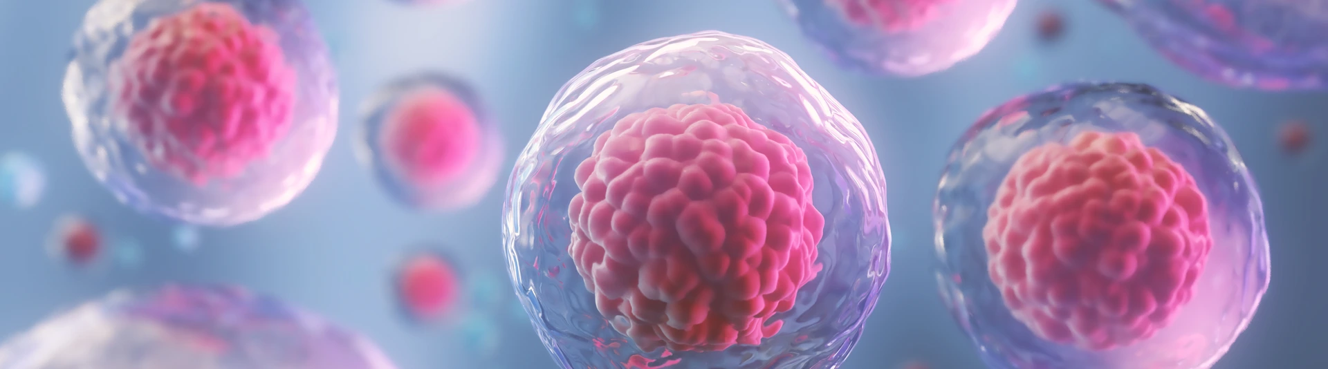 3d rendering of Human cell or Embryonic stem cell microscope background.