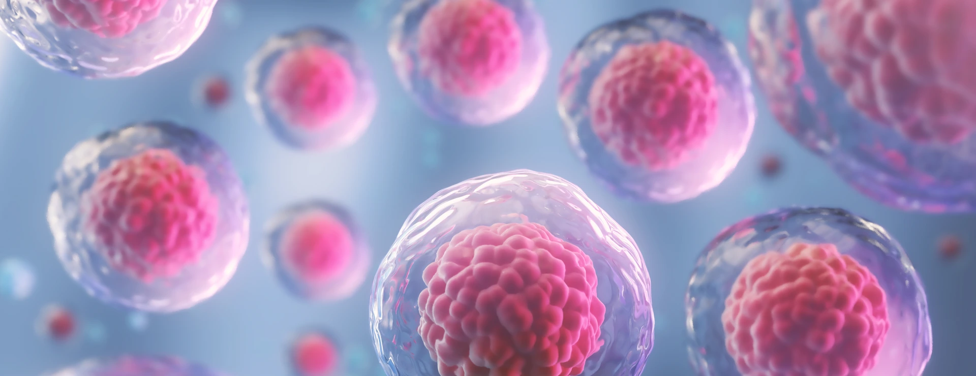 3d rendering of Human cell or Embryonic stem cell microscope background.