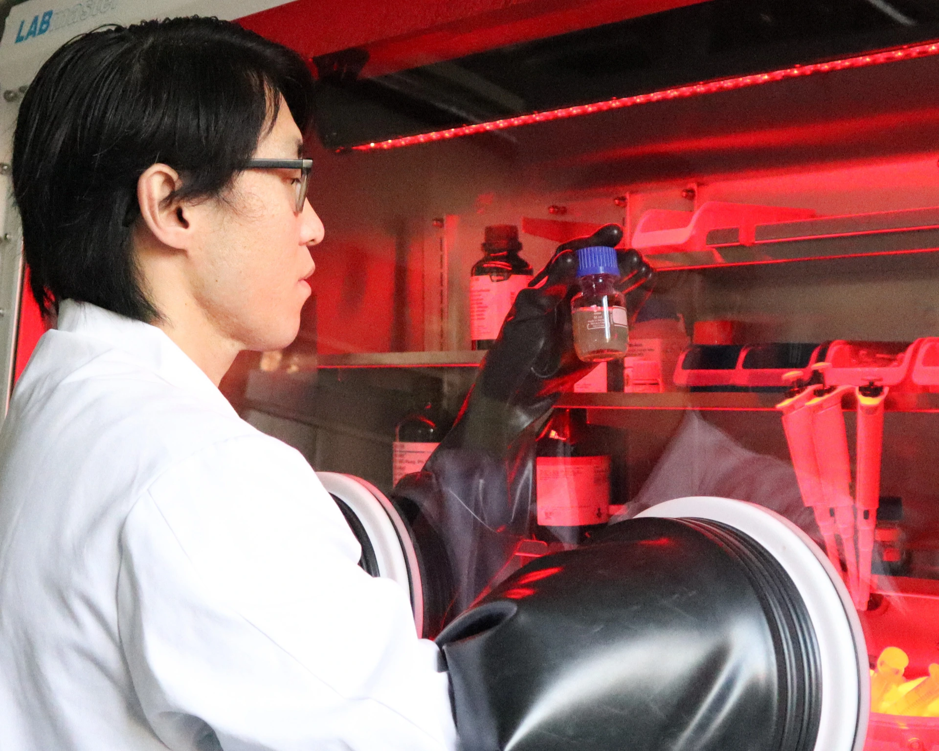 IMG_6001_edited_crop