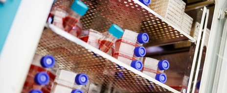Cell culture flasks