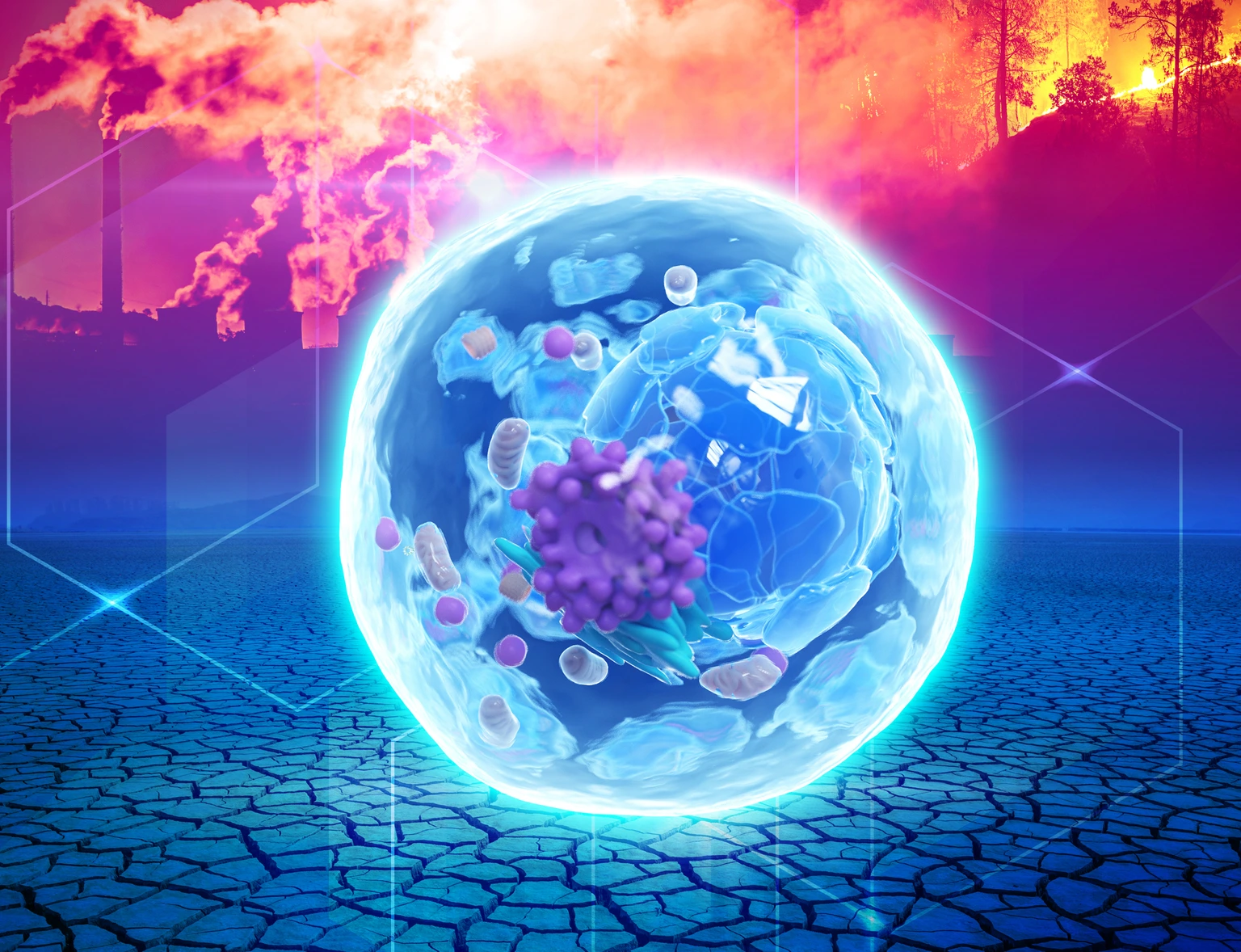 Climate_Environmental Insults