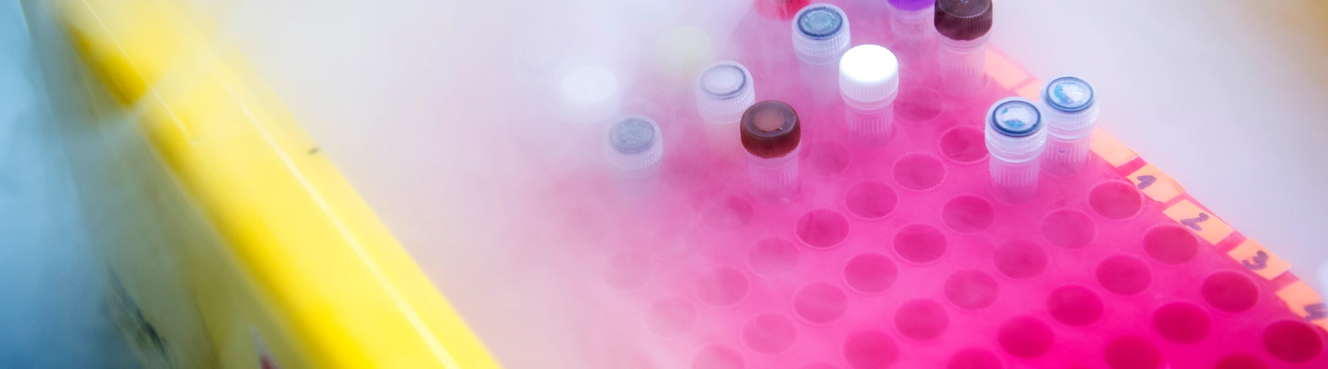 Samples on dry ice