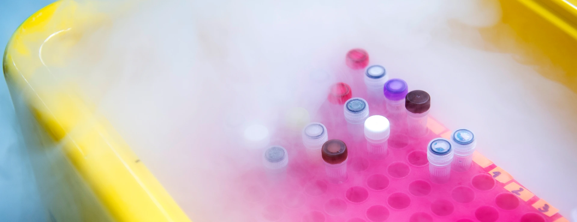 Samples on dry ice