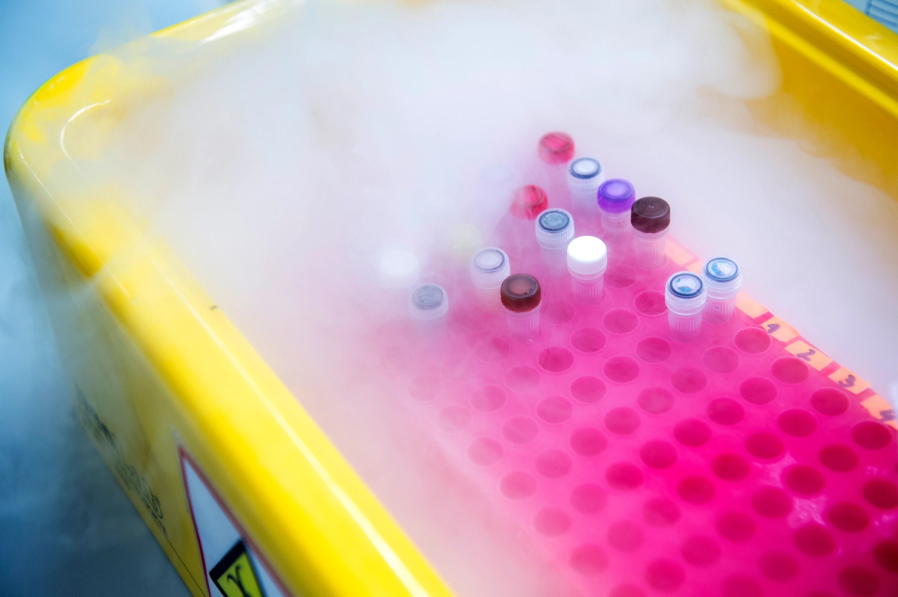 Samples on dry ice