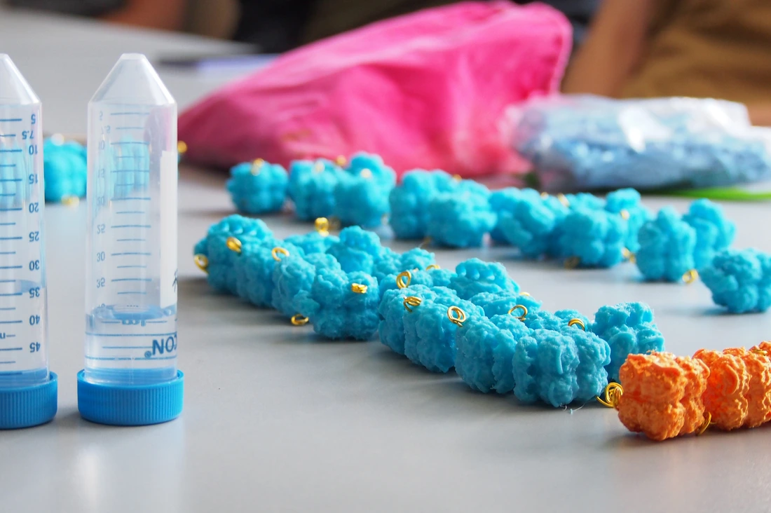Artist Anna Dumitriu and scientists co-created 3D-printed nucleosomes for the Cellular Reprogramming Necklace.