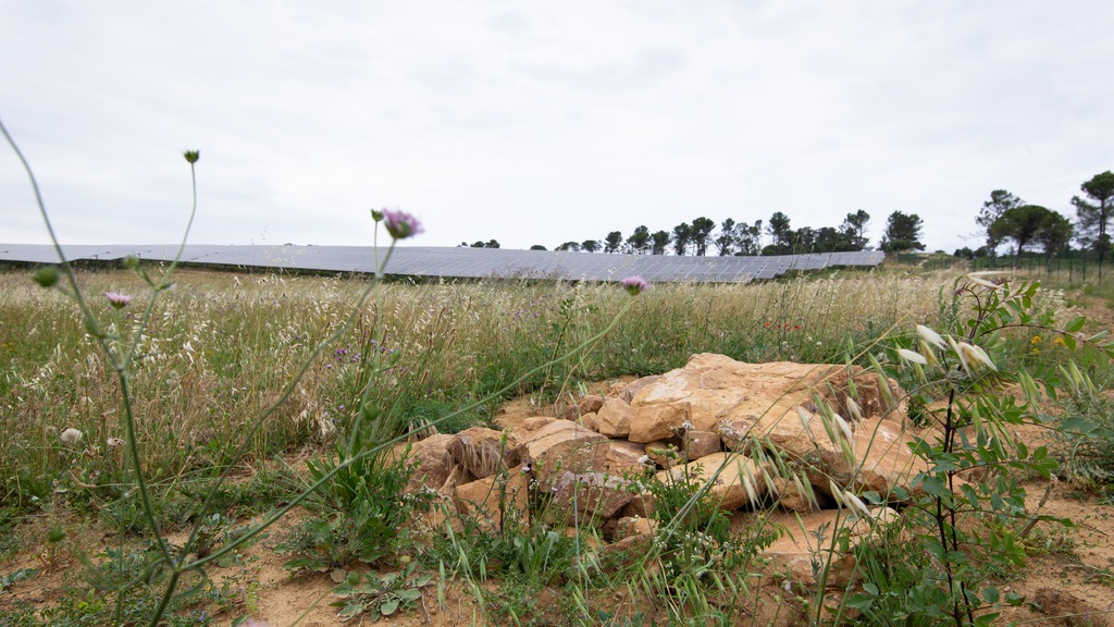 Notre démarche en faveur de la biodiversité
