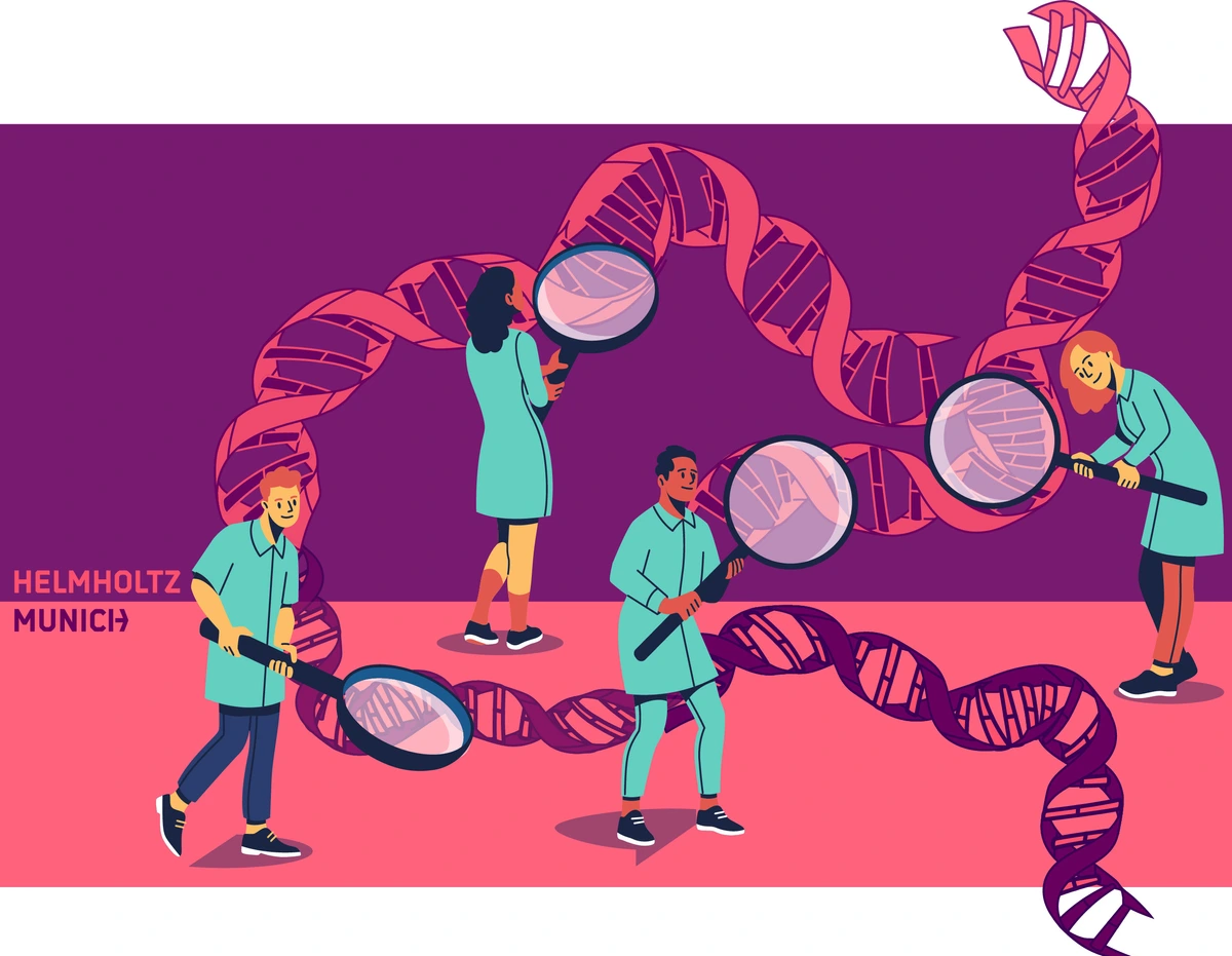 Unveiling the Dynamics of LAD Reorganization and Transcription in Early ...