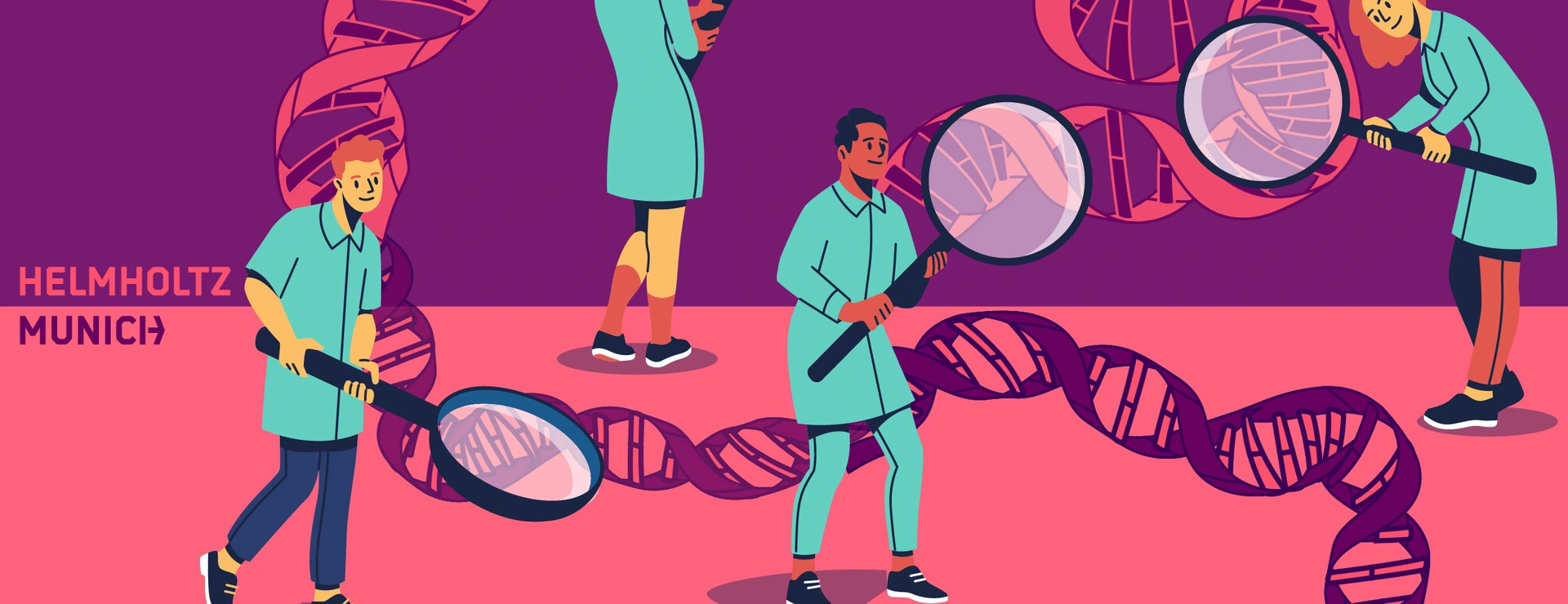 studying the DNA