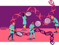 studying the DNA