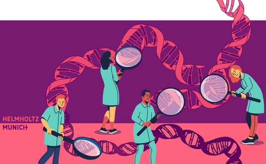 studying the DNA