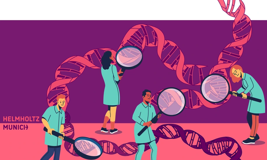 studying the DNA
