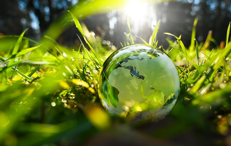 Green glass globe with green leaves and morning sunlight.